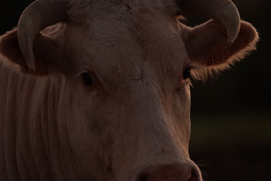 Even as the bull case attracts attention, the risk factors are undeniable. The leverage inherent in MicroStrategy’s c