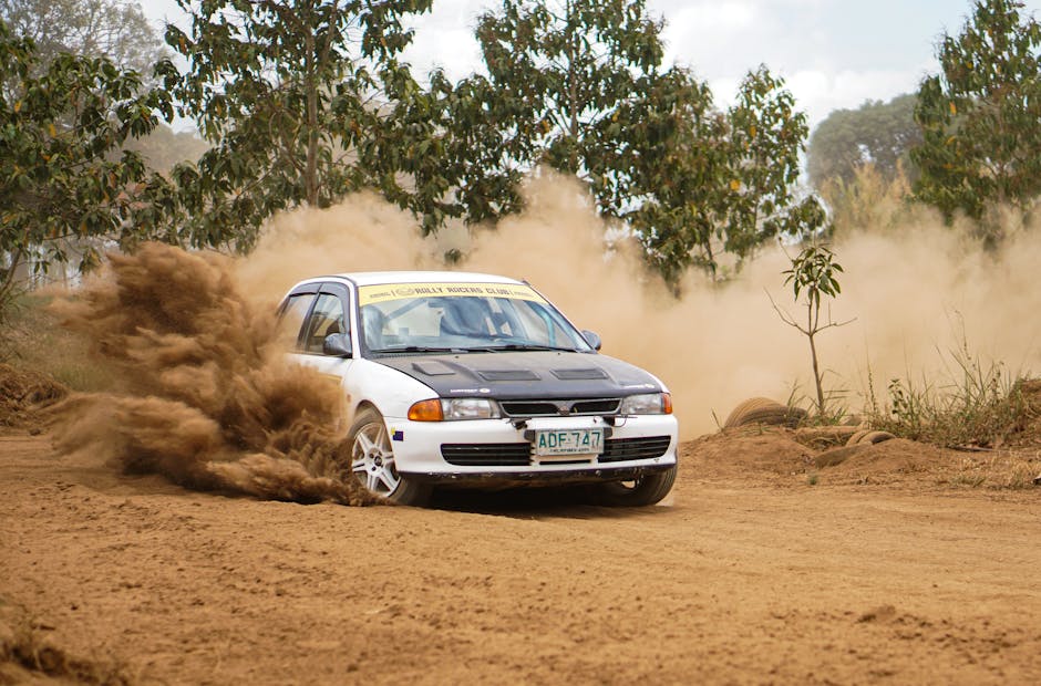 What’s Driving the Rally?