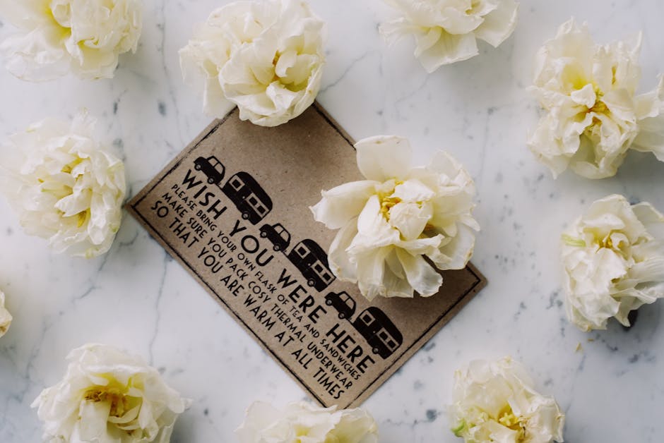 Real-World Scenario: If You Were to Emulate a Similar Approach