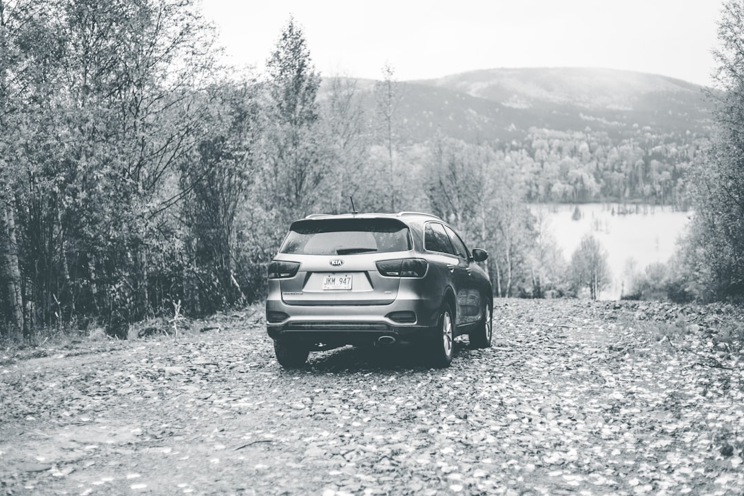 Trends in Donor Strategy: Vehicles and Tactics