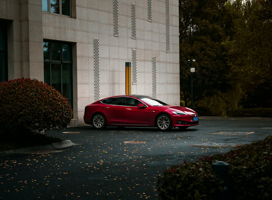 The Tesla Case: A Popular Example Reimagined