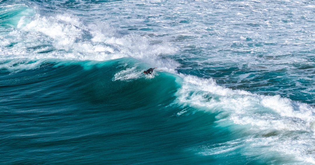 How Fans Can Join the Wave Without Breaking the Bank