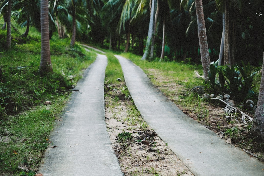A Practical Path: Building An AI-Savvy Yet Resilient Portfolio