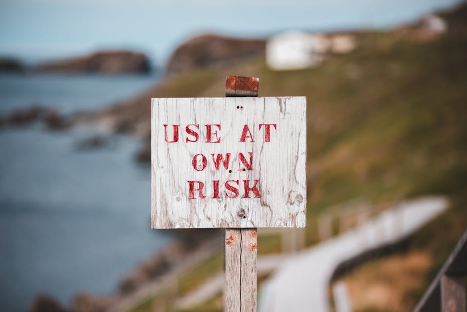 Risks and Forward View