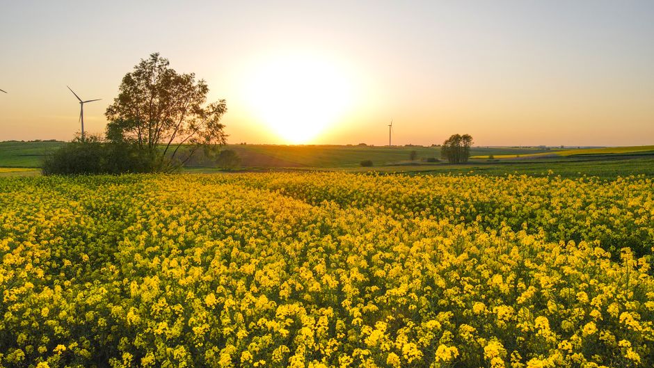 Bloom Energy Responds with a Forceful Rebuttal