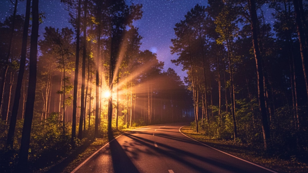 Real-World Scenarios: When One Path Shines Over The Other