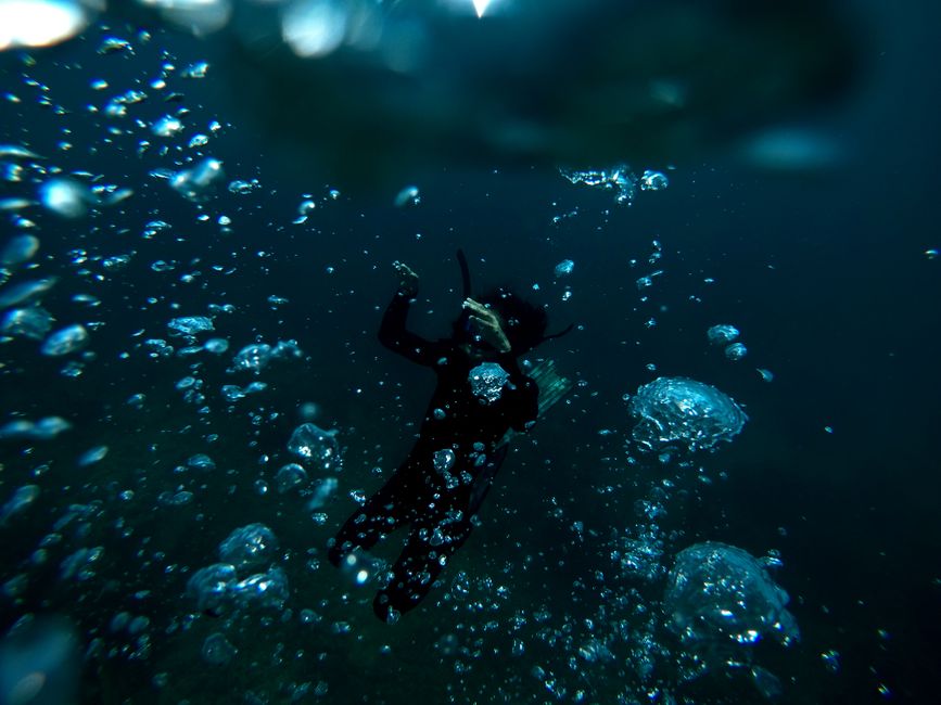Segment Deep Dive