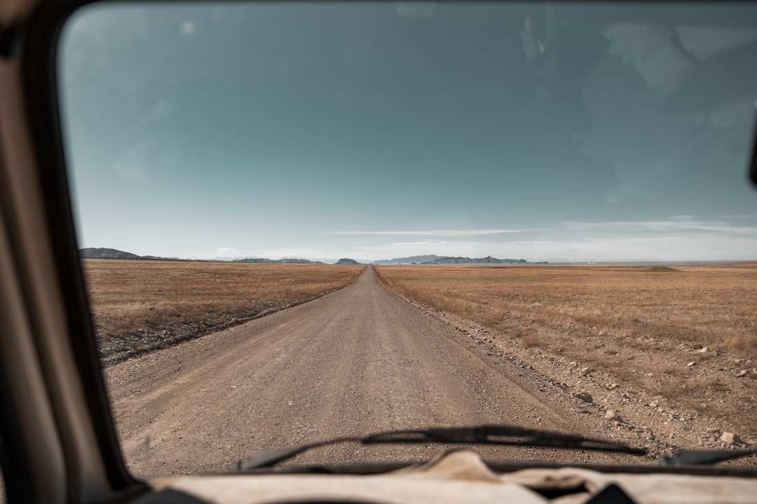 What Is Driving the Gap?