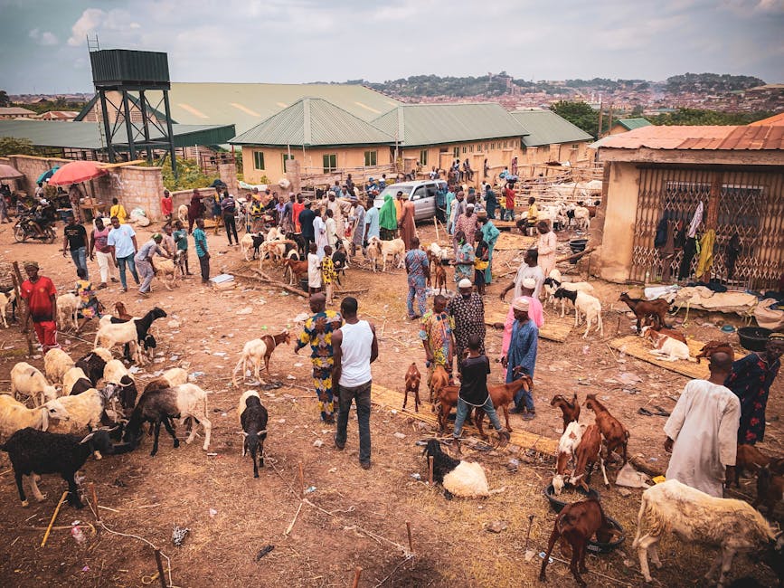 What Buyers Should Watch Next