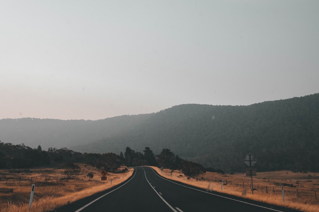 The road ahead