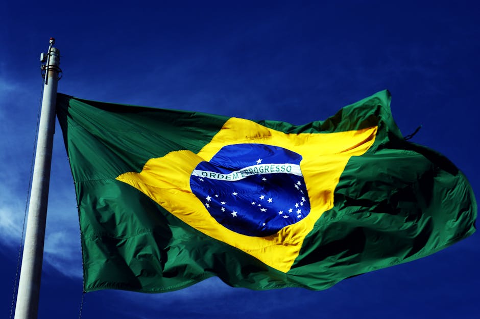 
The Brazil unit remains the pivotal growth lever, with accelerating revenue and expanding product penetration supportin