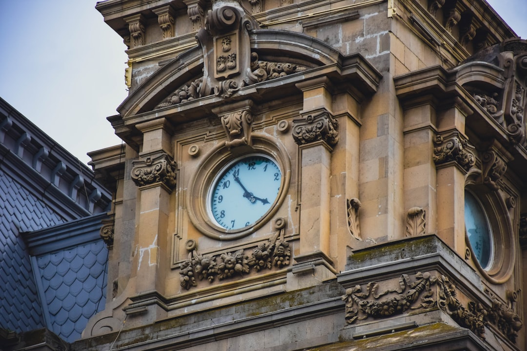 The Timetable and What to Watch Next