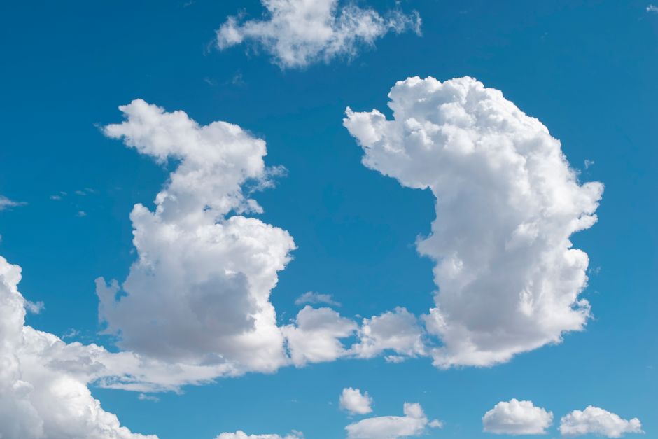 The Cloud Landscape: Where META Might Fit