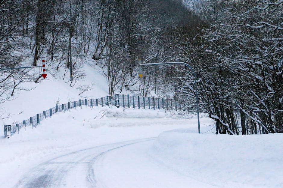 The road ahead for thousands of pending cases