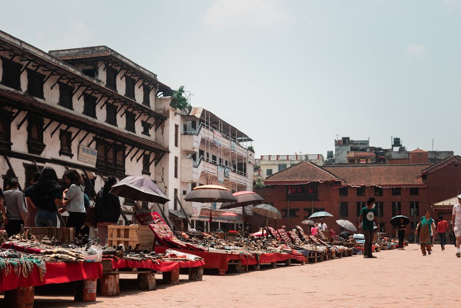 The Broader Context: NFT Market and Crypto Cycles