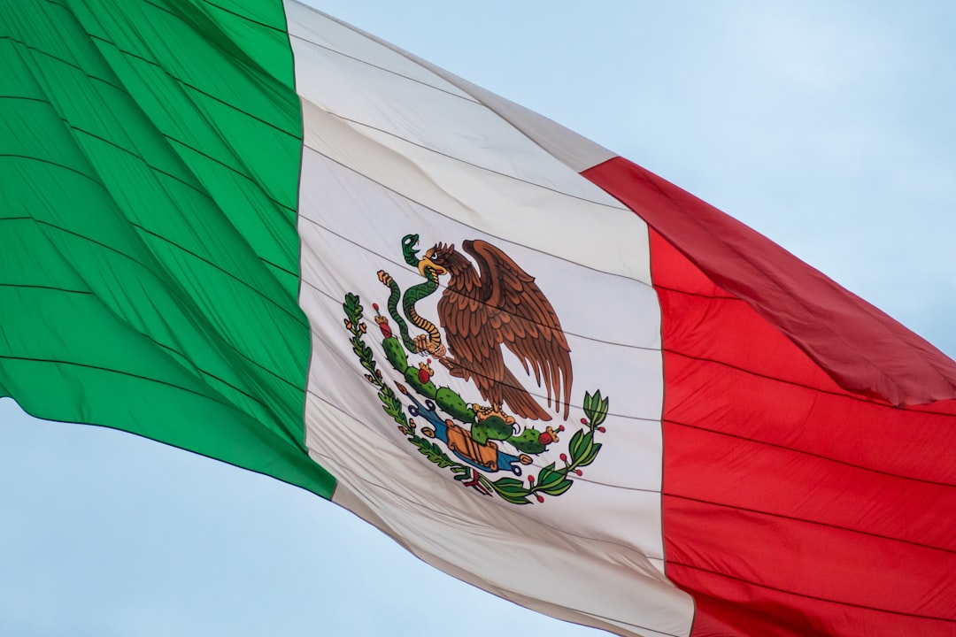 Focus Keyword: mexico city’s unofficial duck in the spotlight