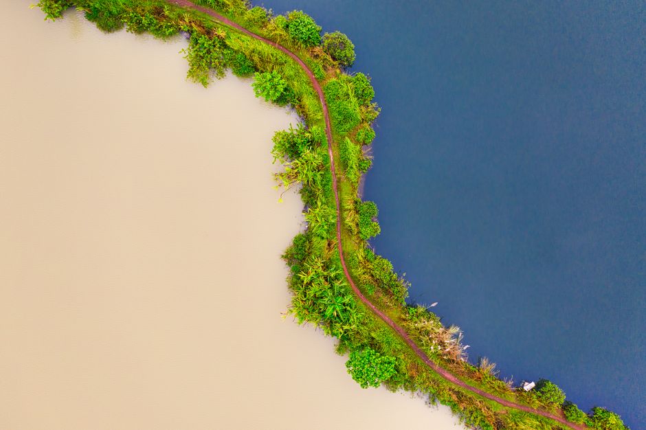 Bottom Line: Which Path Keeps More Margin?