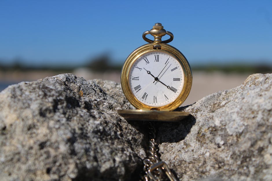Timeline, Next Steps, and What to Watch