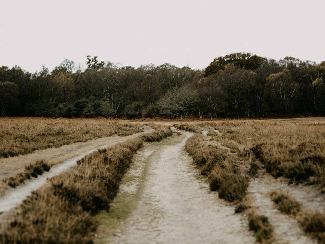 Conclusion: Choose Your Path Based on Your Portfolio Needs