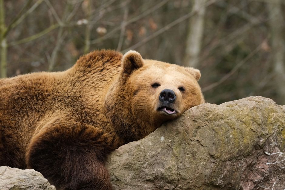 Real-world scenarios: bull case vs. bear case through 2027