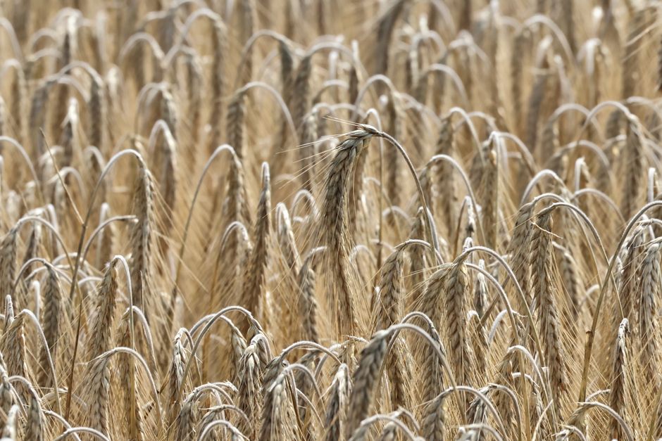 Is the Yield Sustainable? Reading the Tape