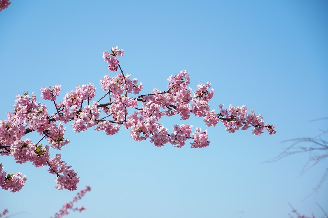 Outlook: Spring Rhythm and Possible Scenarios