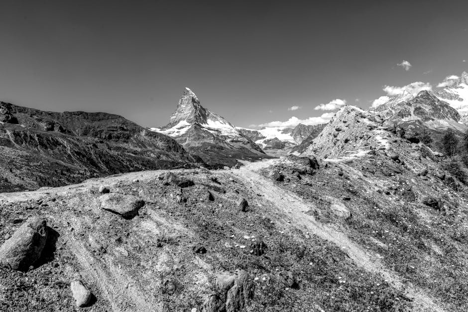 What the numbers say: scale, capacity, and delivery