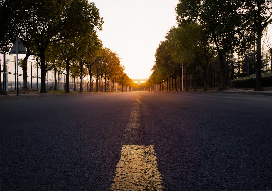 Investor Perspective and the Road Ahead