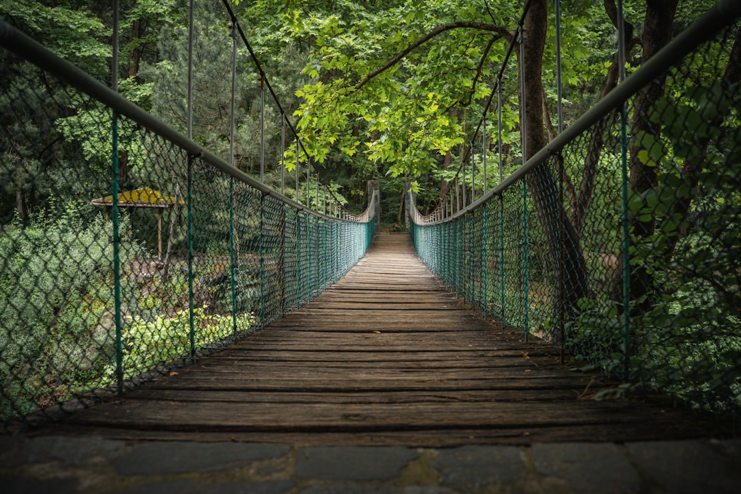 Alternative Paths If You’re Not Convinced