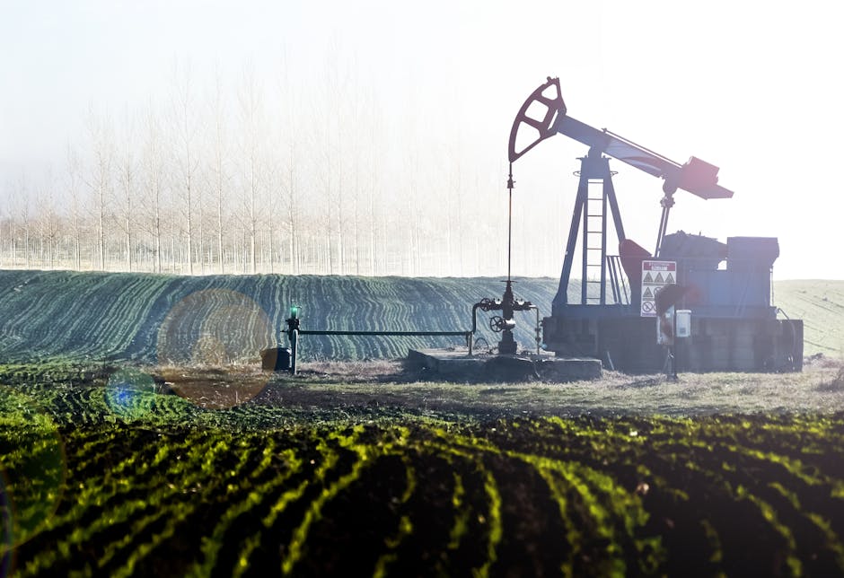 How Inflation and Oil Shape the Path Ahead