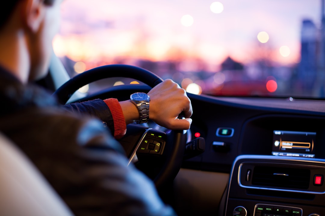 What Drives the Movements