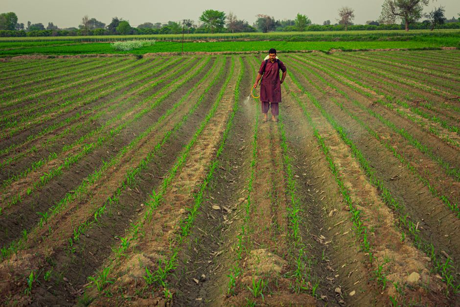 Fertilizer Supply: Why the Bottleneck Persists