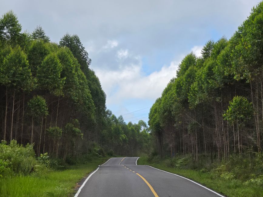 The Road Ahead