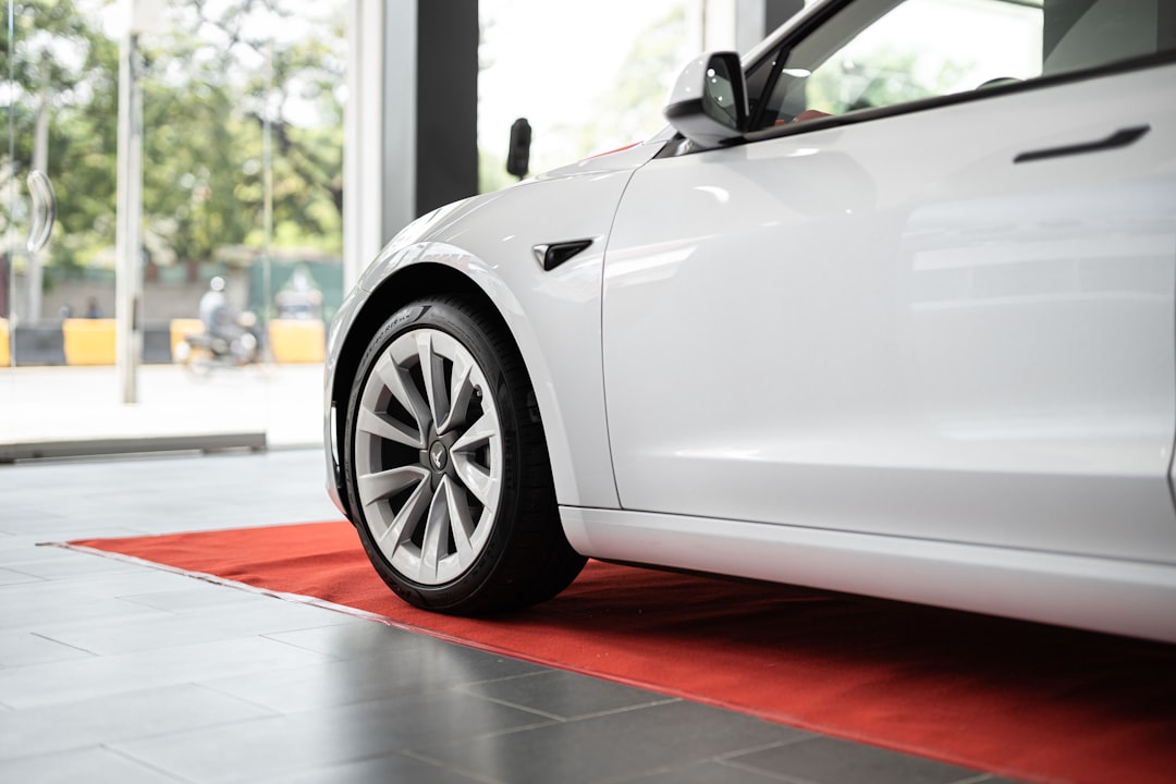 Tesla as the Public Proxy