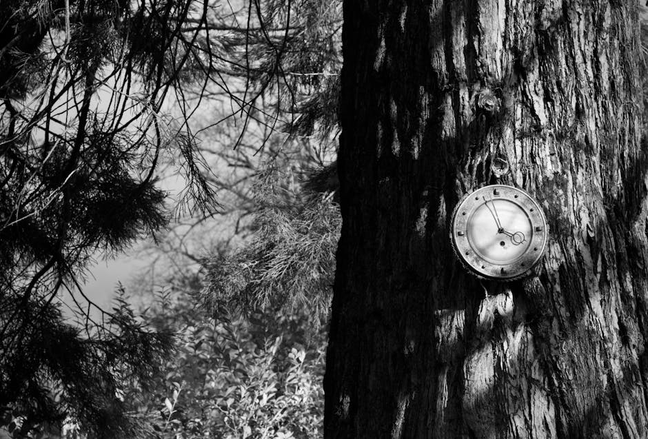 Full-Year 2025 Results: A Mixed Barometer