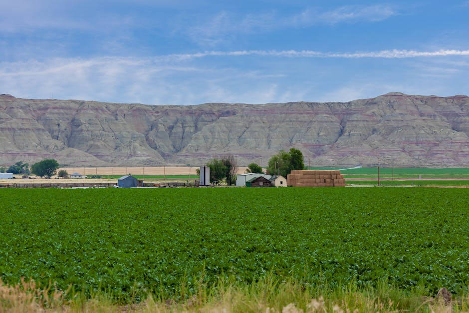 Why This Matters for Rural America