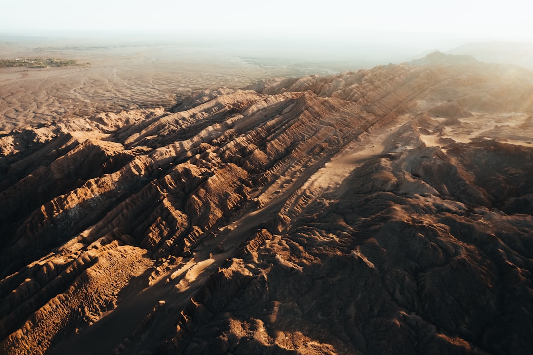 A Landscape Shaped By Fragmented Viewership
