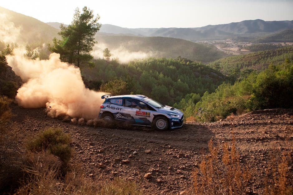 What Drove the Remarkable Rally?