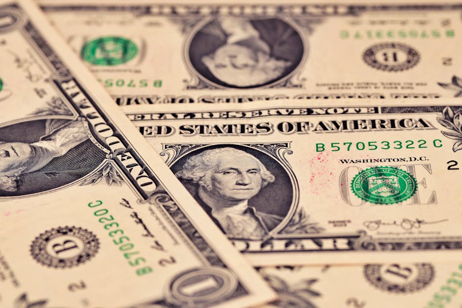 Investor Actionable Takeaways: What You Can Do Now