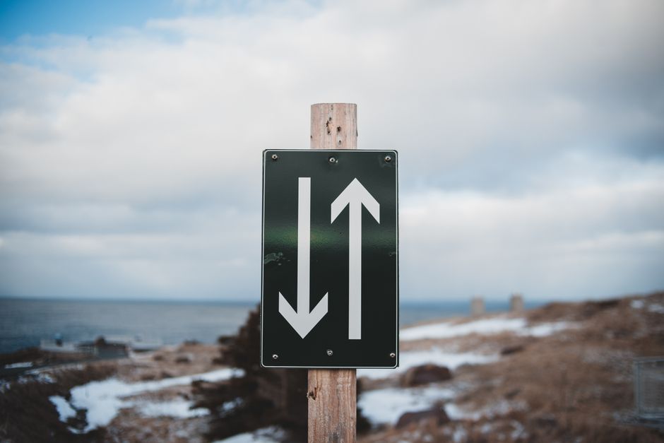 Two Paths, One Debate: Which Path Wins for Investors?