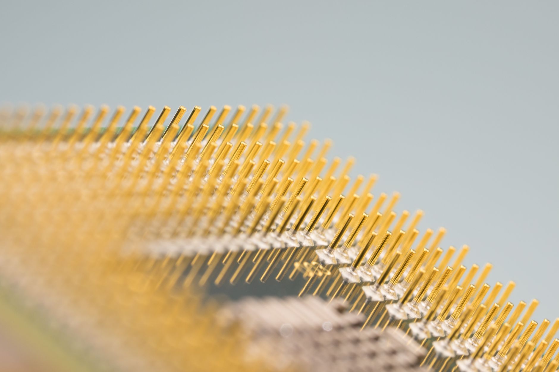 770% YTD Surge: How High Can Micron Go in 2026?