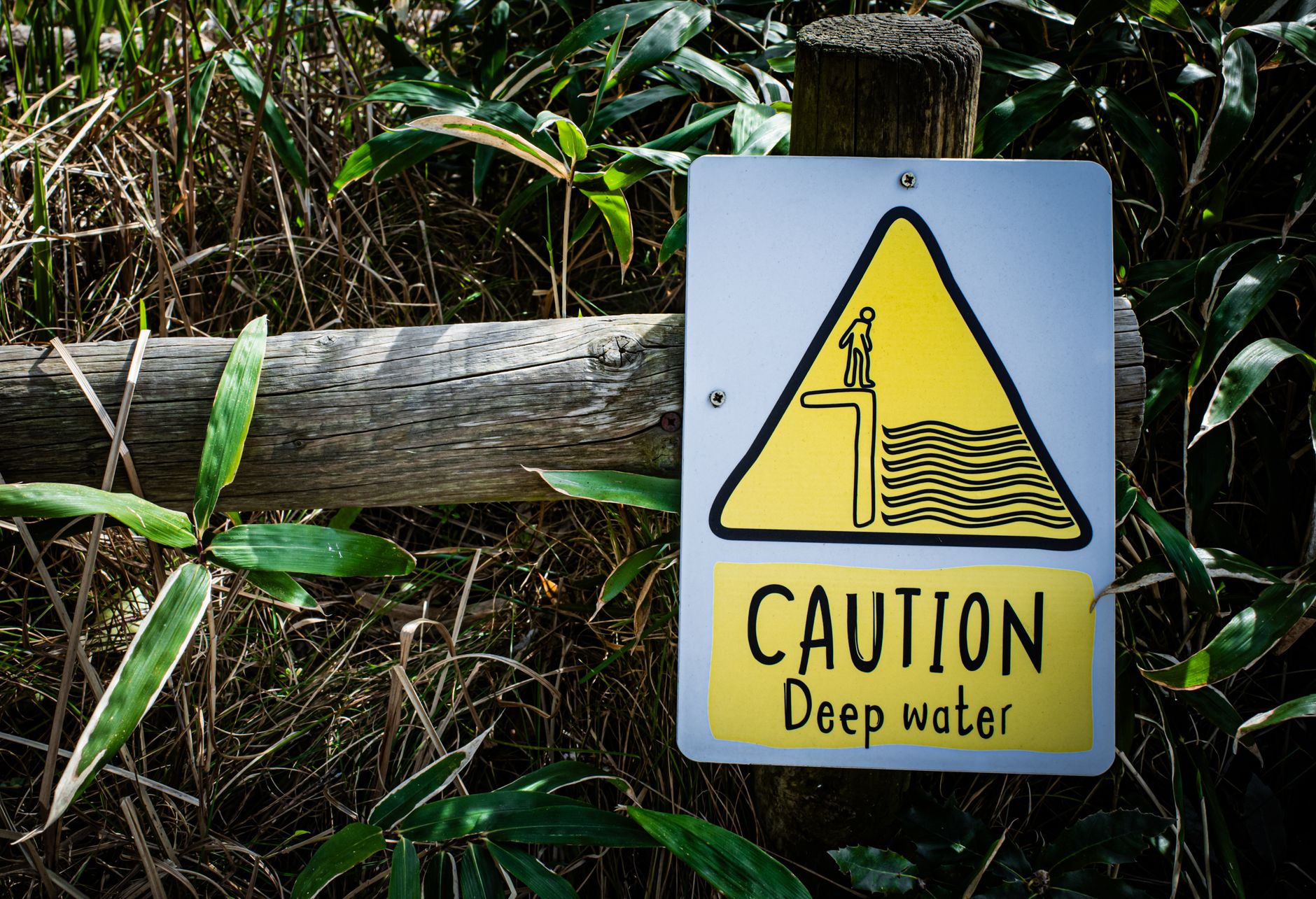 AI Is Much More Dangerous Than Investors Realize Today