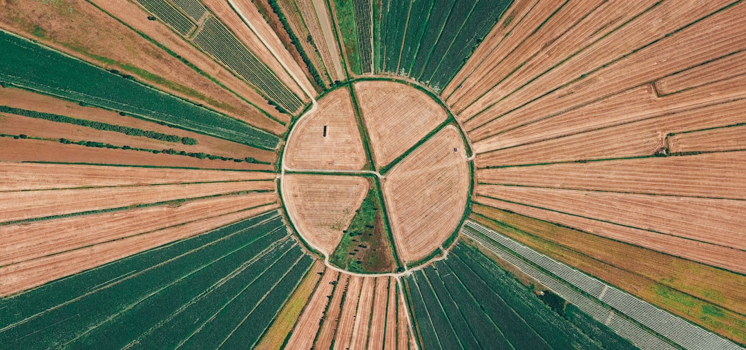 AI Shake: Solstice Advanced Materials Joins S&P MidCap