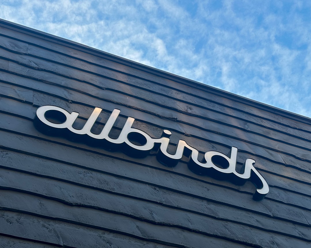 Allbirds’ 600% Stock Surge Sparks AI-Washing Debate