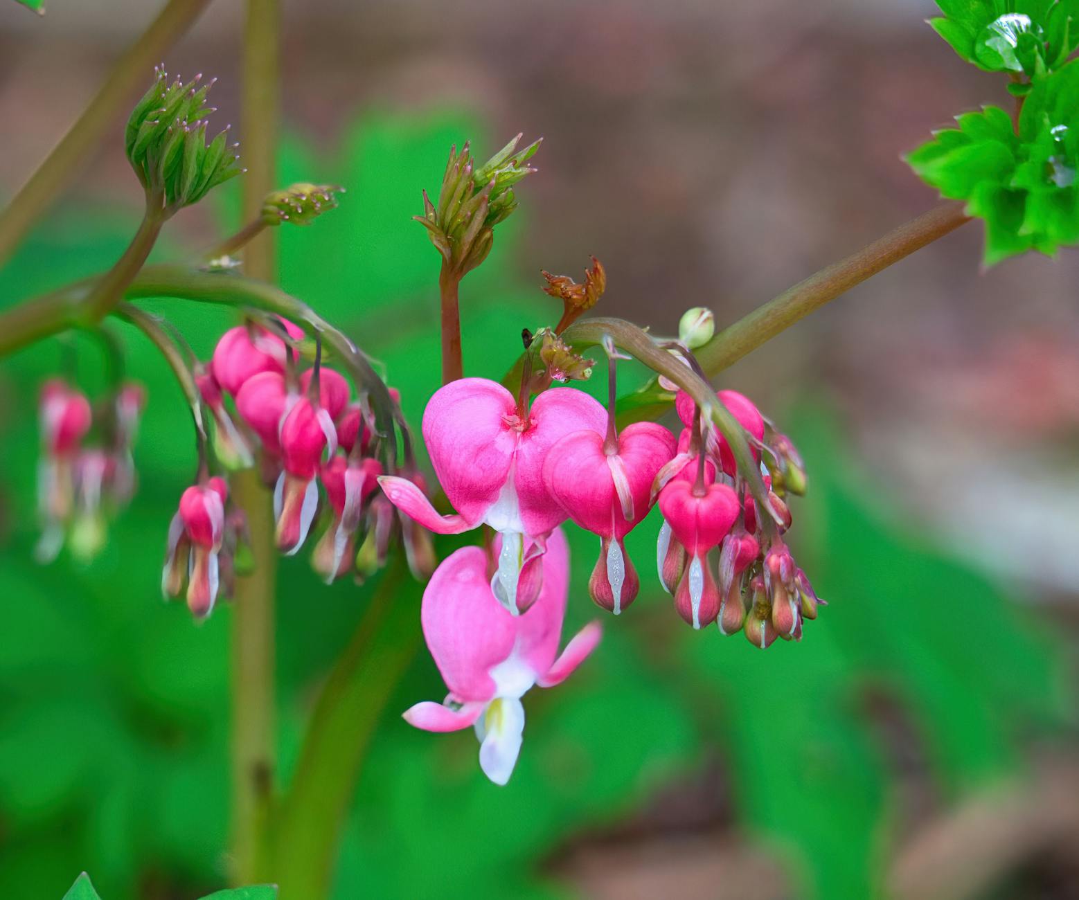 Altcoins Bleed After Trump: Weekend Crypto Turmoil