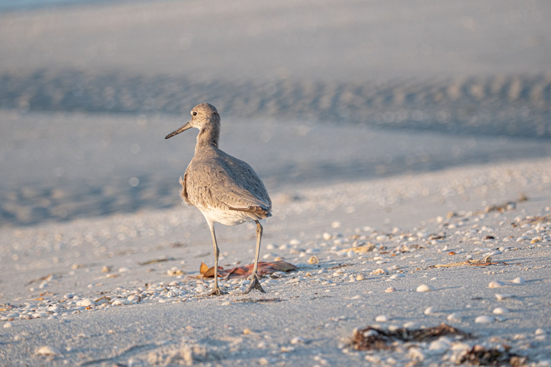 Americans Flocking This Florida Retirement Hot Spot