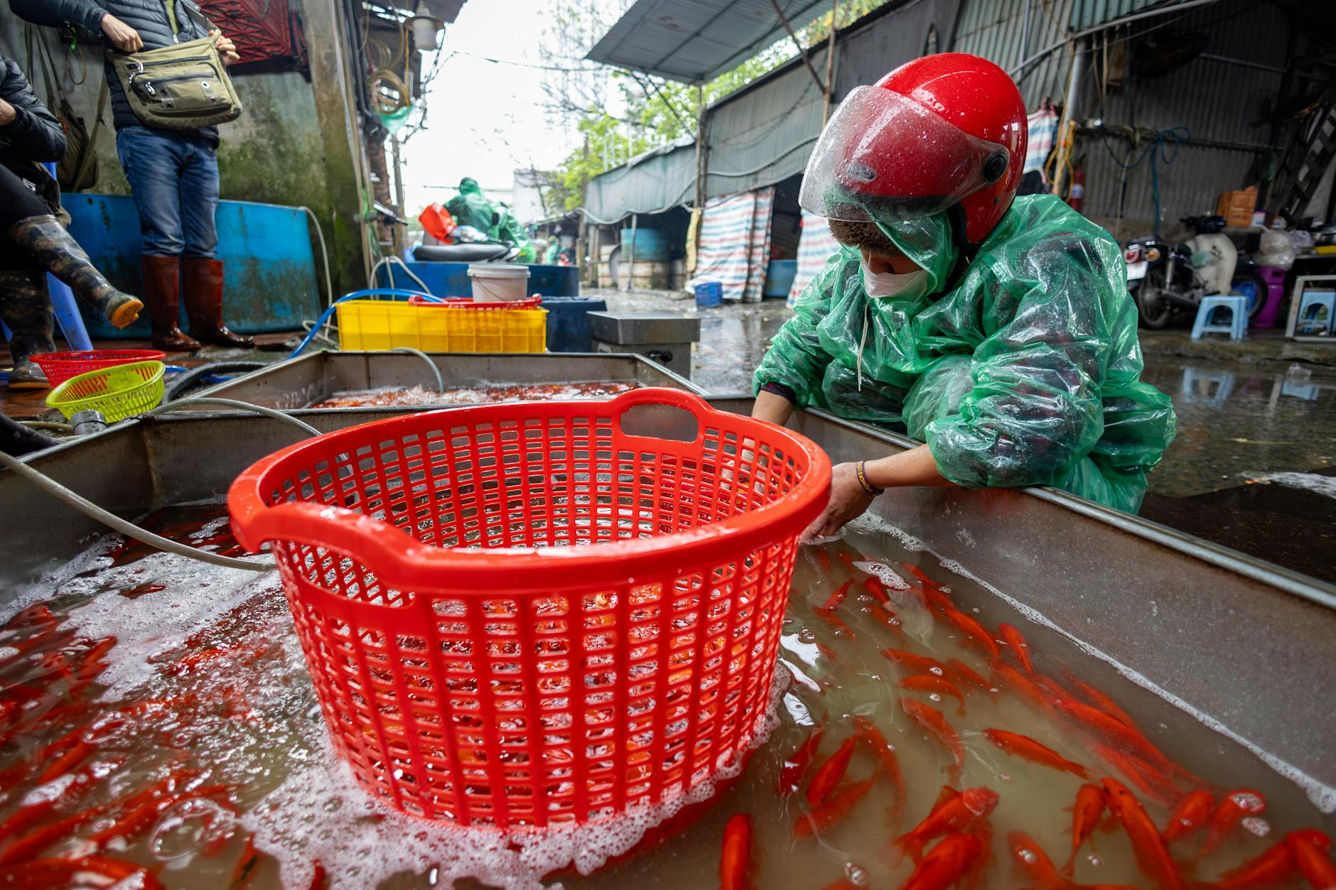 Asia Faces Fuel Strain as Epic Fury Ripples Across Markets