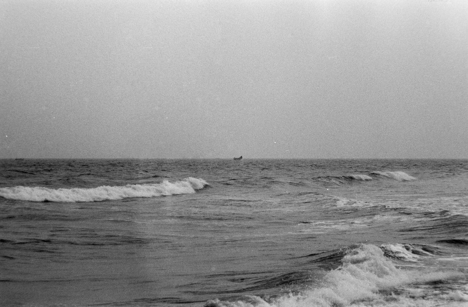 AVLV Rises 24.5% by Filtering Value Traps in Market