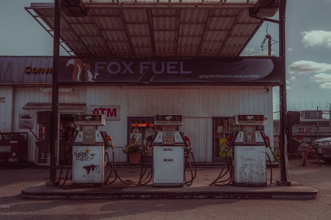 Best Alternative Fuel Stocks Rally Amid Green Shift