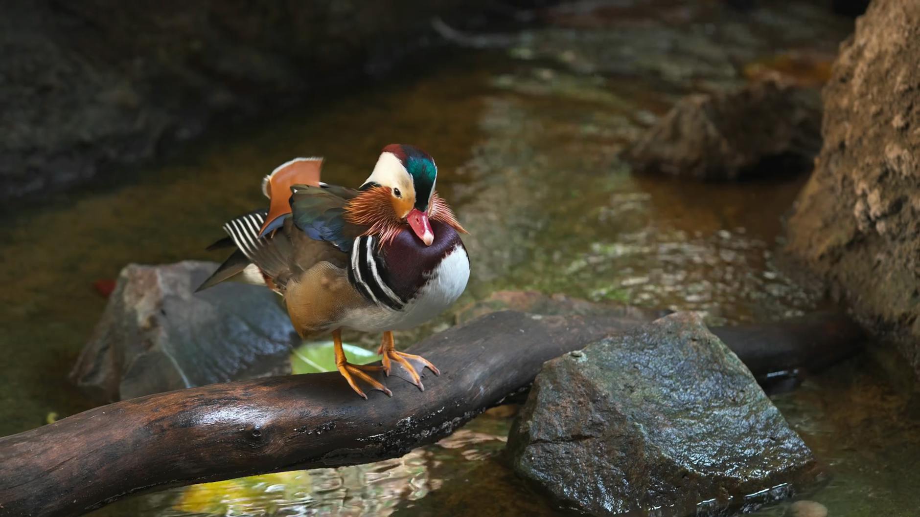 Best Auto Manufacturer Stocks Set to Lead 2026 Market